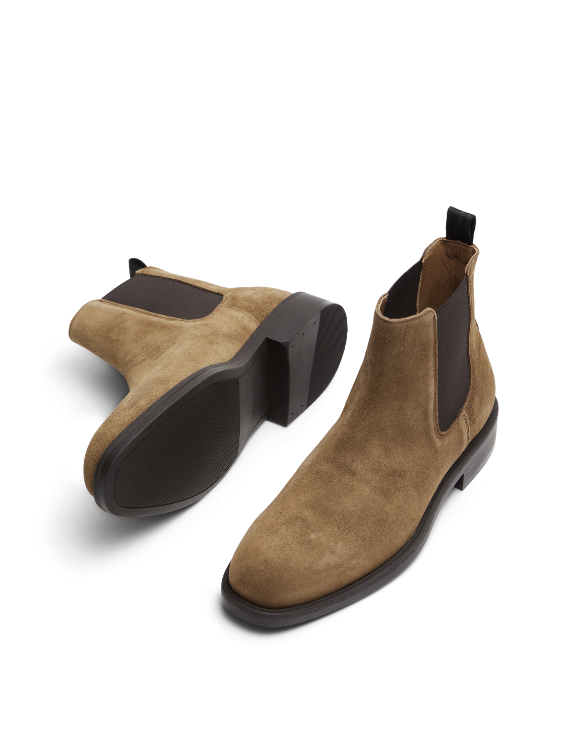 model_shot-front_full