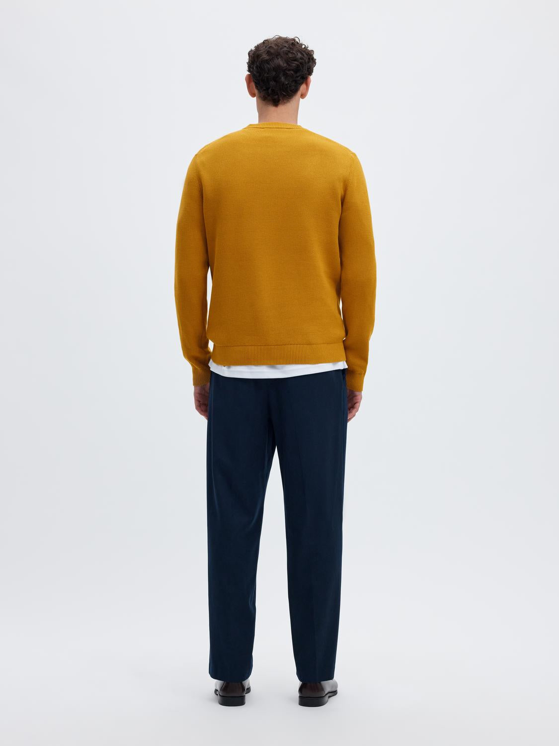 model_shot-back