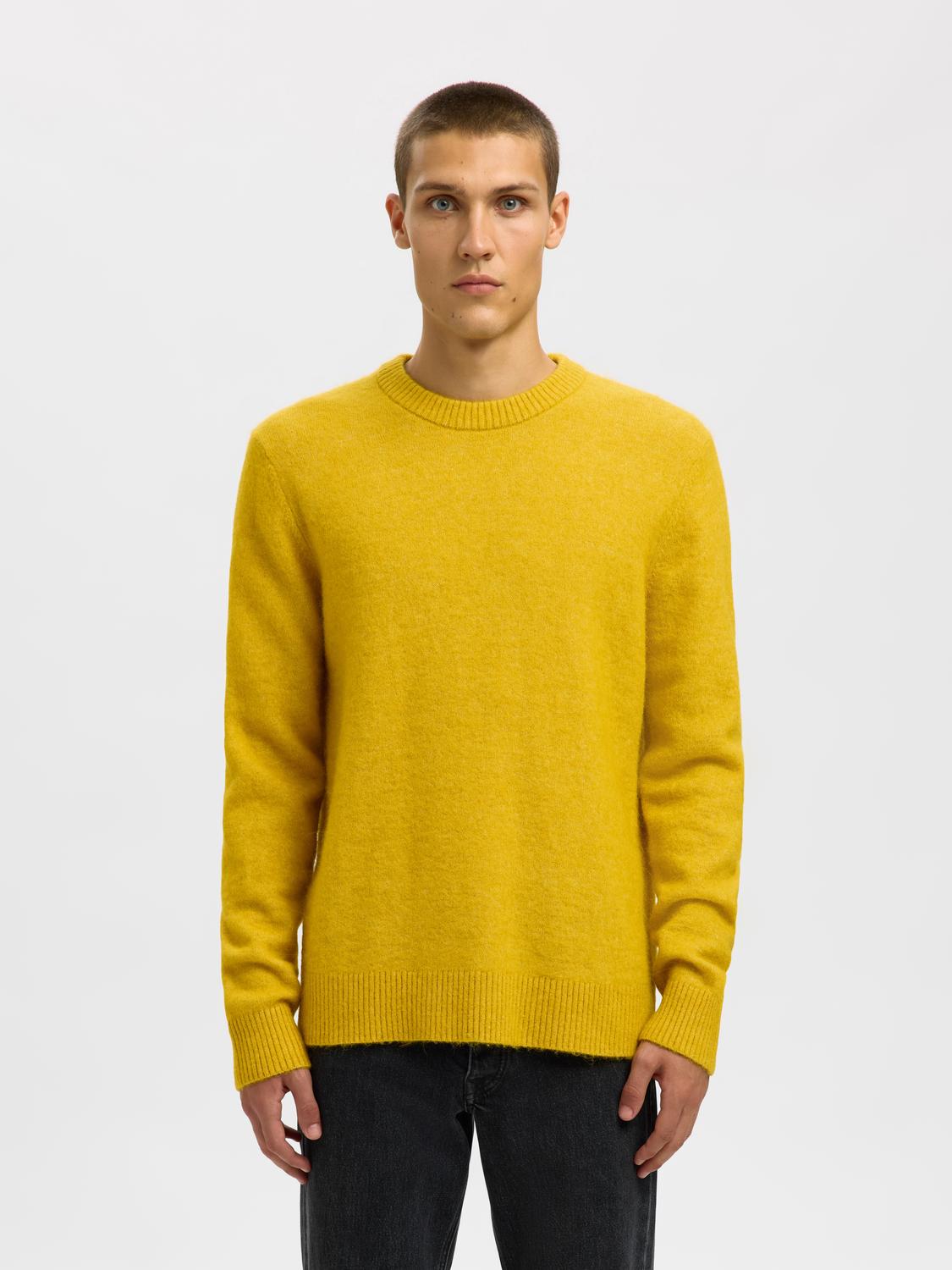 model_shot-front