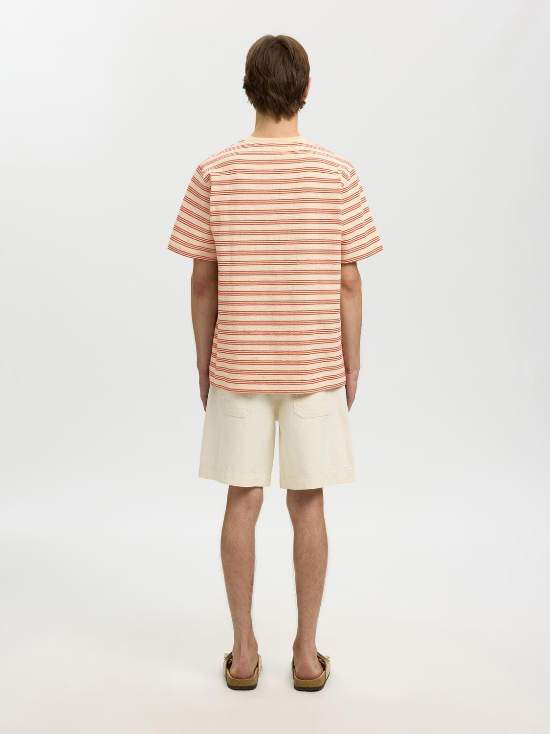 model_shot-back