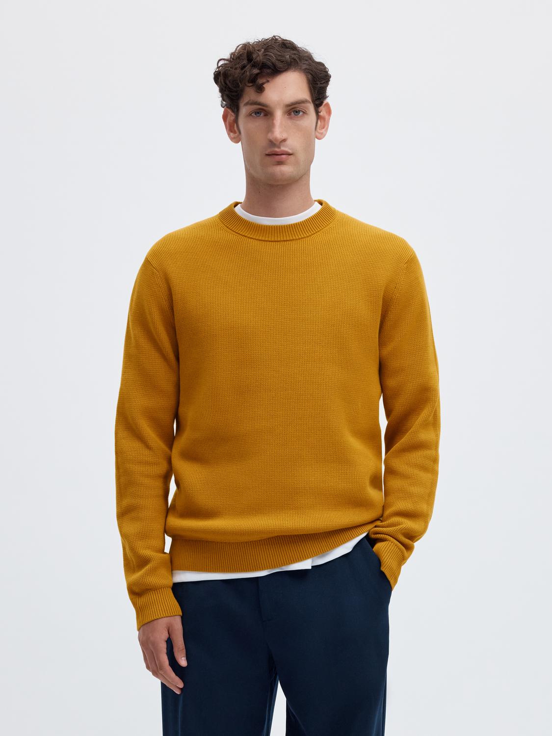 model_shot-front