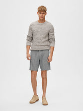 Load image into Gallery viewer, SLHREGULAR-BRODY Shorts - Sky Captain